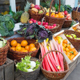 Fat Loss Diet Plan